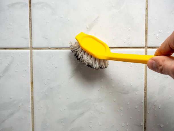 Best Local Mold Removal Service  in Independence, WI